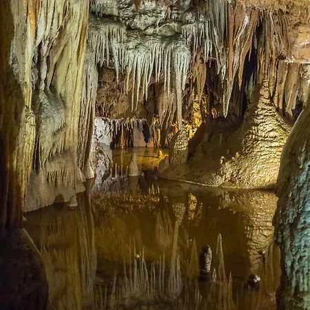 In - Istrien 10215 포레치