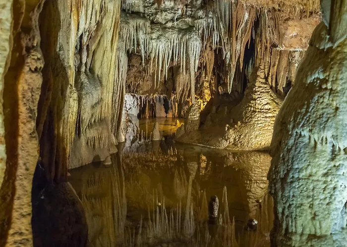 In - Istrien 10215 포레치